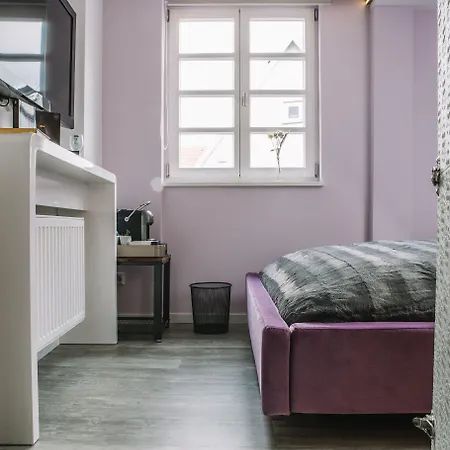 Boutique Pfauen 호텔 3*