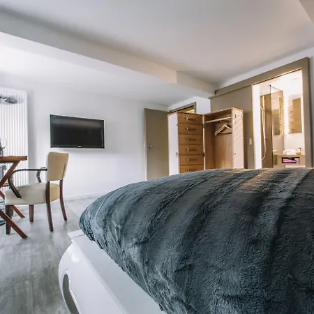 호텔 Boutique Pfauen 3*