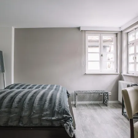 Boutique Pfauen 호텔 3*