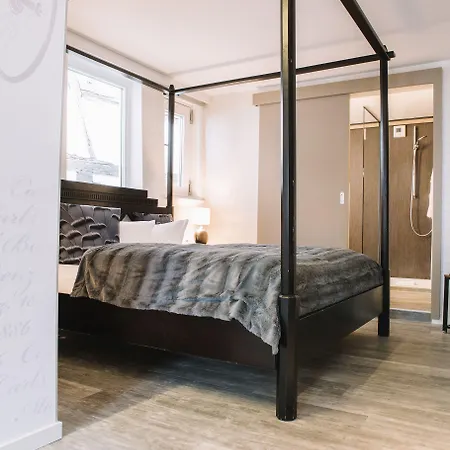 Boutique Pfauen 3* 쇼른도프