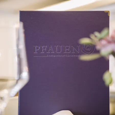 호텔 Boutique Pfauen 쇼른도프