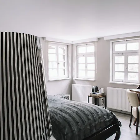 Boutique Pfauen 호텔 3*