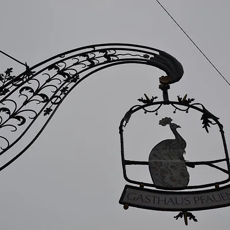 Boutique Pfauen 호텔