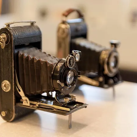 Boutique Pfauen 호텔 3*