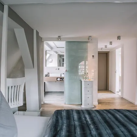 호텔 Boutique Pfauen 3*