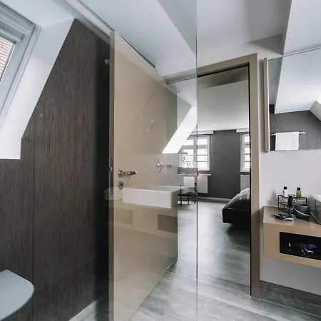 호텔 Boutique Pfauen 쇼른도프