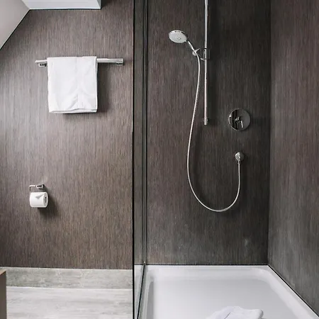 호텔 Boutique Pfauen 3*